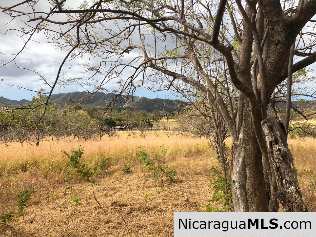 El Oro Flat Lot Ready to Build with Access to Water & Electricity
