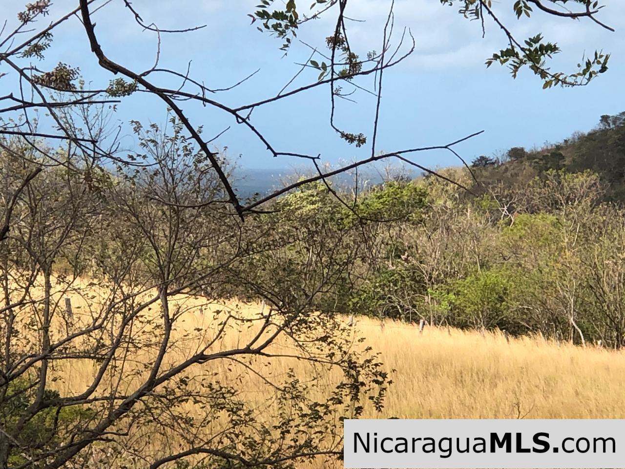 El Oro Flat Lot Ready to Build with Access to Water & Electricity