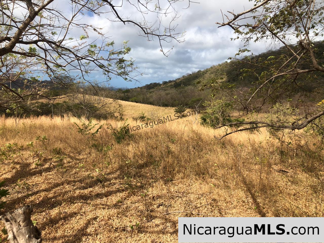 El Oro Flat Lot Ready to Build with Access to Water & Electricity
