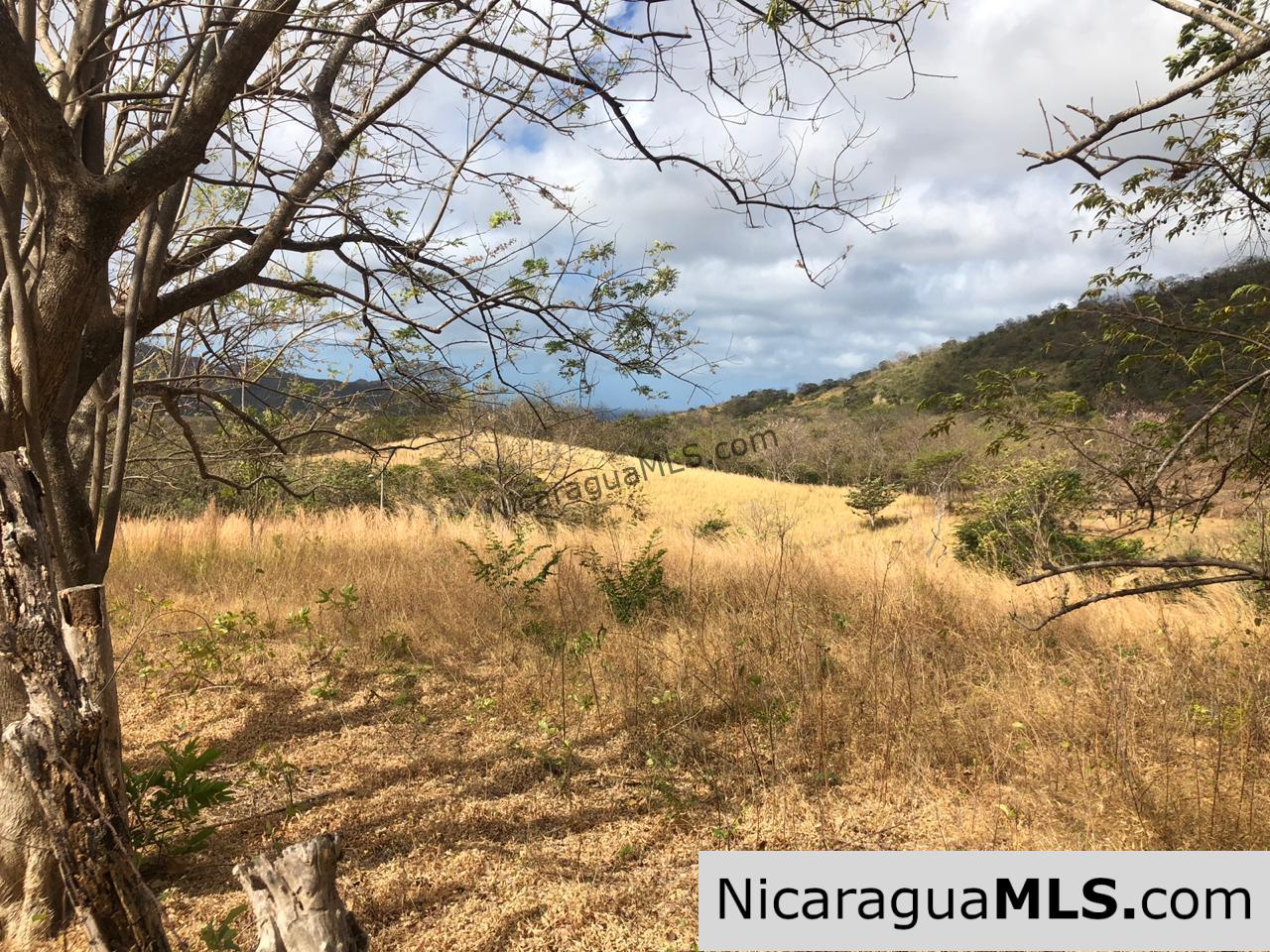 El Oro Flat Lot Ready to Build with Access to Water & Electricity