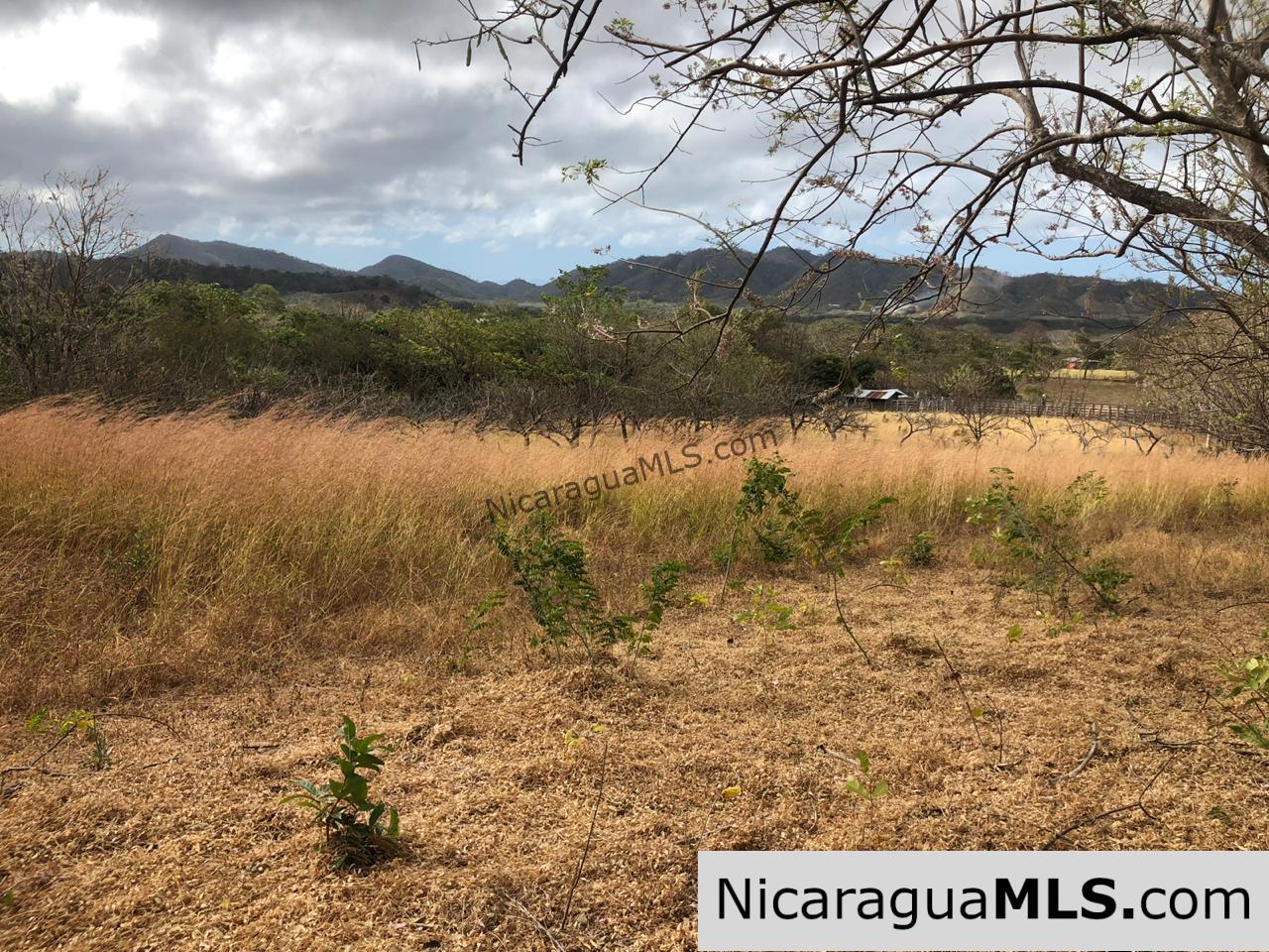 El Oro Flat Lot Ready to Build with Access to Water & Electricity