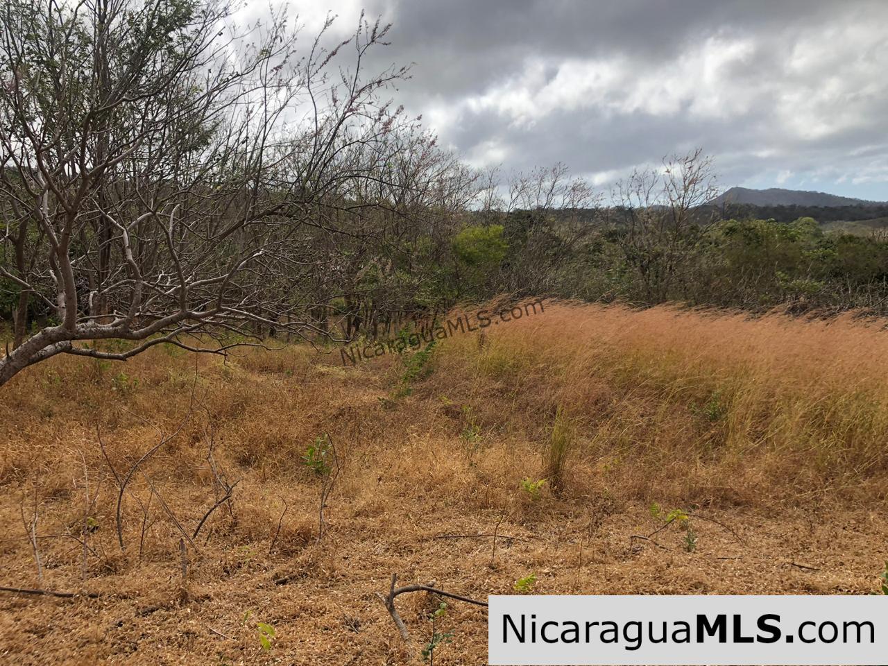 El Oro Flat Lot Ready to Build with Access to Water & Electricity