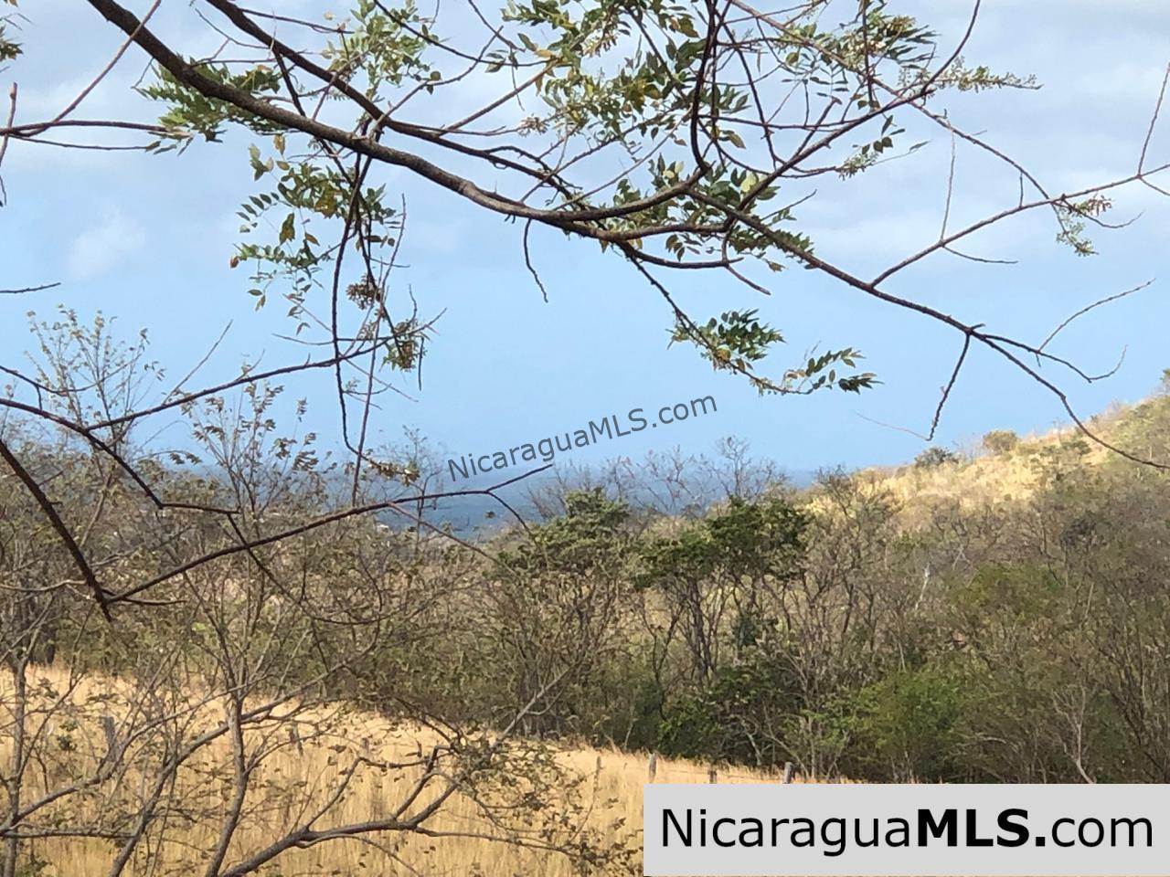El Oro Flat Lot Ready to Build with Access to Water & Electricity