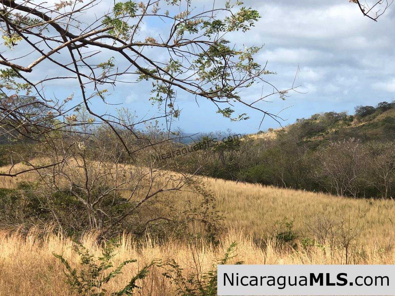 El Oro Flat Lot Ready to Build with Access to Water & Electricity