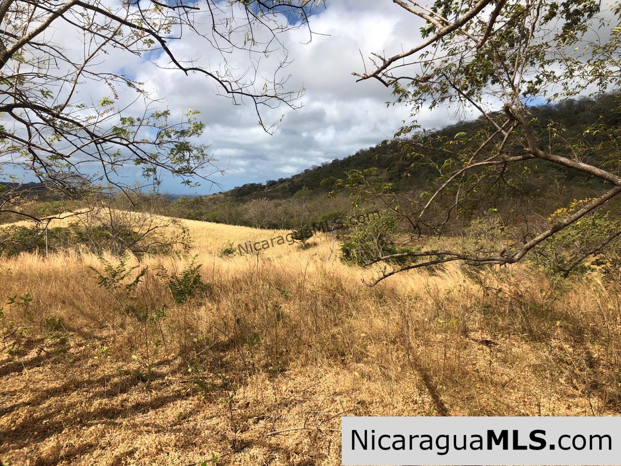 El Oro Flat Lot Ready to Build with Access to Water & Electricity
