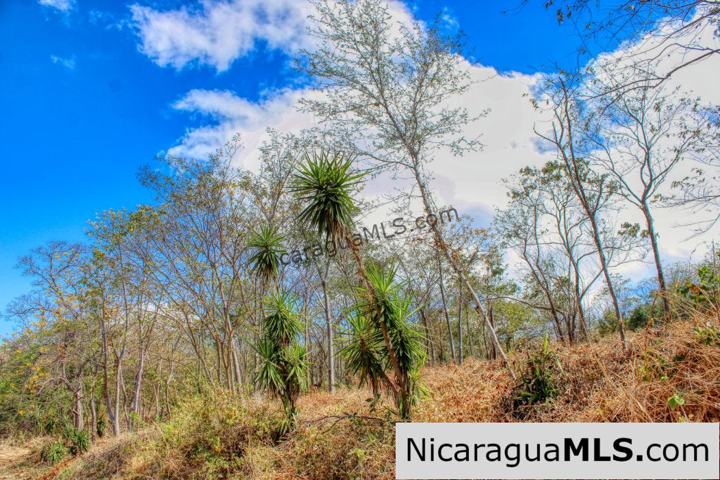 ¾ acre Luxury Lot A10 Encanto del Sur San Juan del Sur