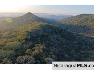 Large Parcels at Finca Las Nubes Organic Farm