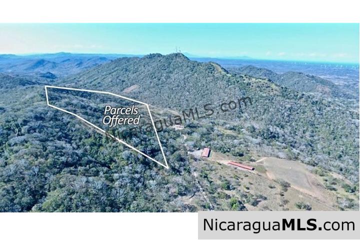 Large Parcels at Finca Las Nubes Organic Farm