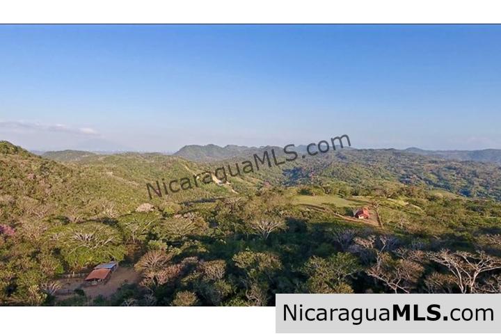 Large Parcels at Finca Las Nubes Organic Farm