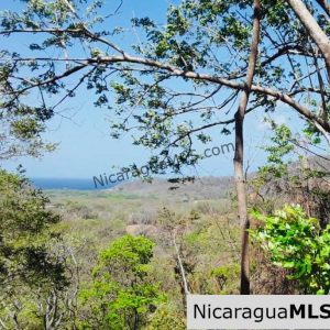 REDUCED - 20+ acres Finca Dulce Oceanview near Playa Madera surfing