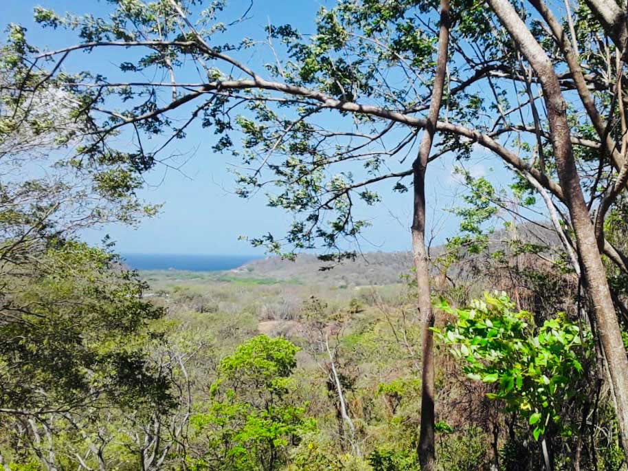 REDUCED - 20+ acres Finca Dulce Oceanview near Playa Madera surfing - Image 6