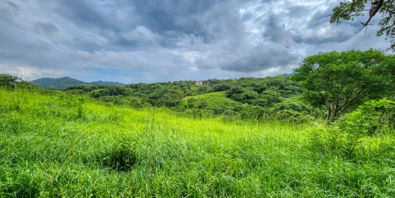REDUCED - 20+ acres Finca Dulce Oceanview near Playa Madera surfing - Image 5