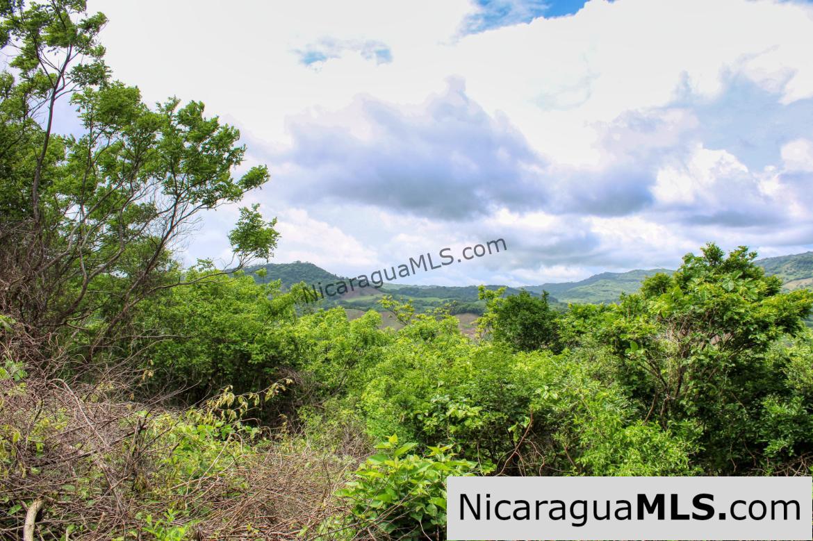 A Naturally Stunning Ecological Homesite Lot 32 Las Fincas