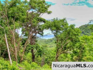 Las Fincas Eco Community 1.7 acres Ocean and Jungle Views