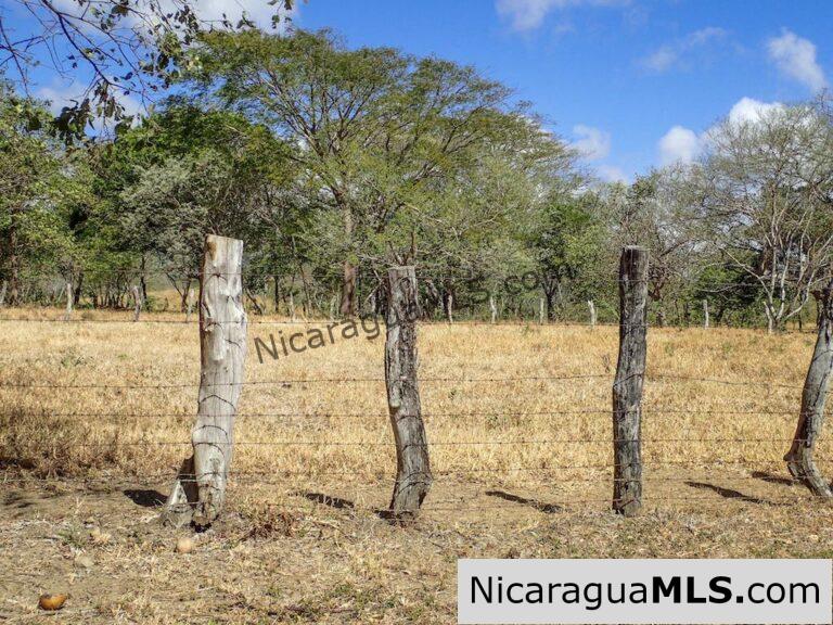 Price Alert! Prime 1 Manzana Lot Near Surf Ranch in San Juan del Sur