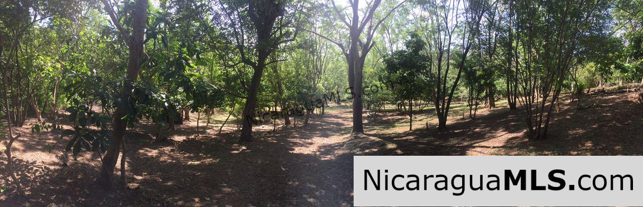 Commercial acreage within walking distance to Playa Marsella and Maderas