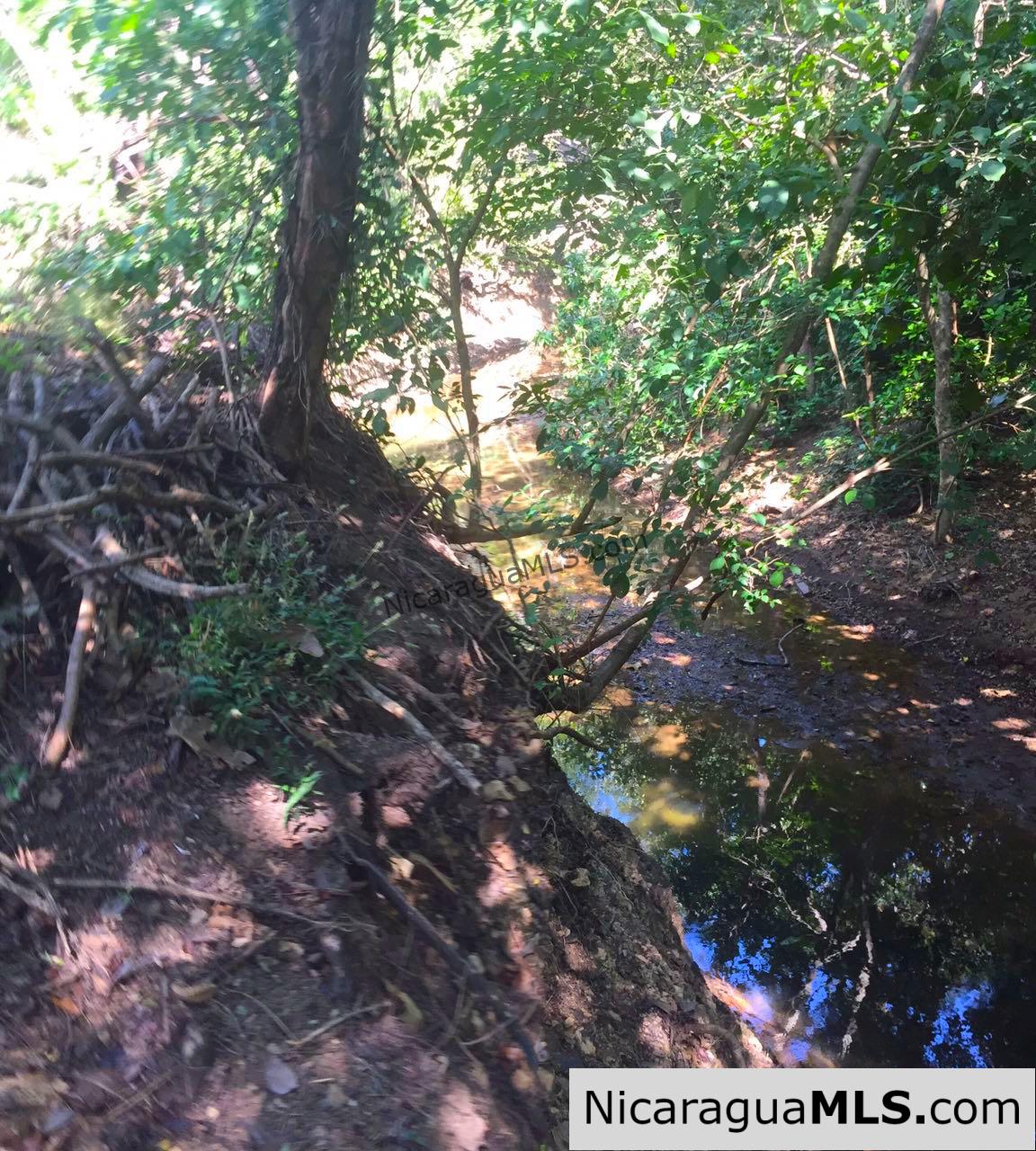 Commercial acreage within walking distance to Playa Marsella and Maderas