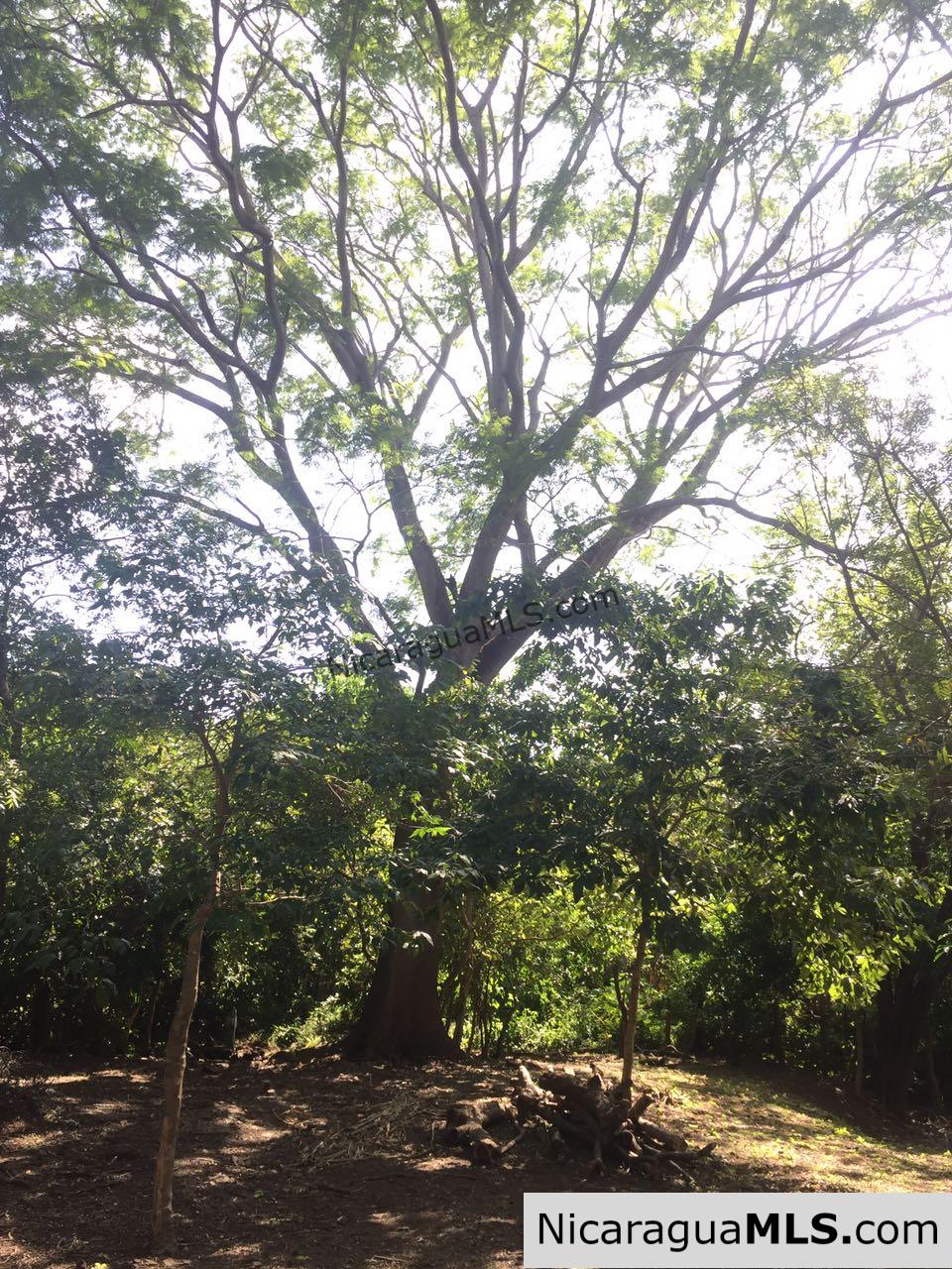 Commercial acreage within walking distance to Playa Marsella and Maderas