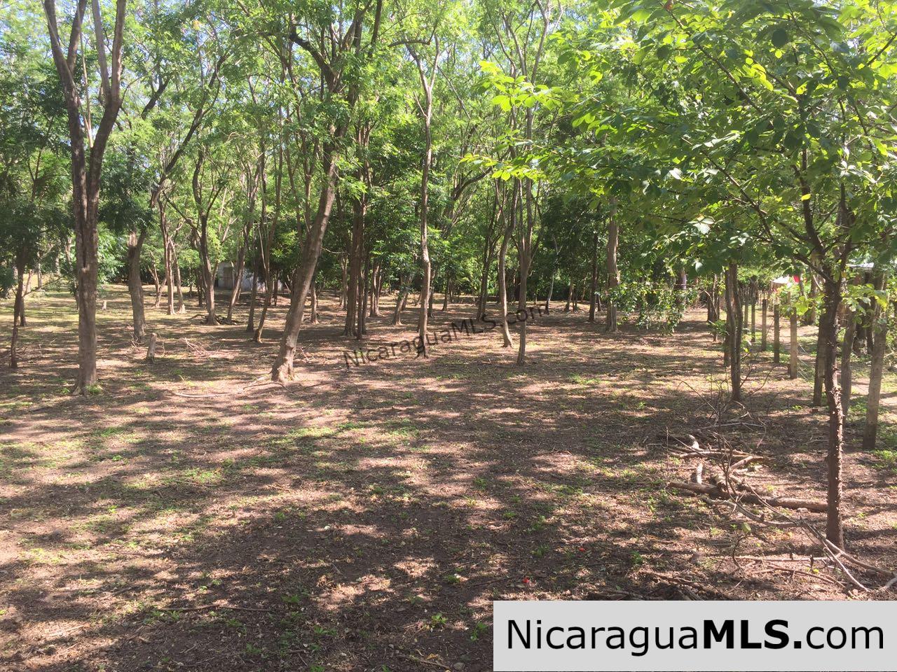 Commercial acreage within walking distance to Playa Marsella and Maderas