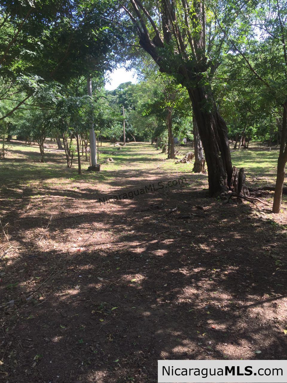 Commercial acreage within walking distance to Playa Marsella and Maderas