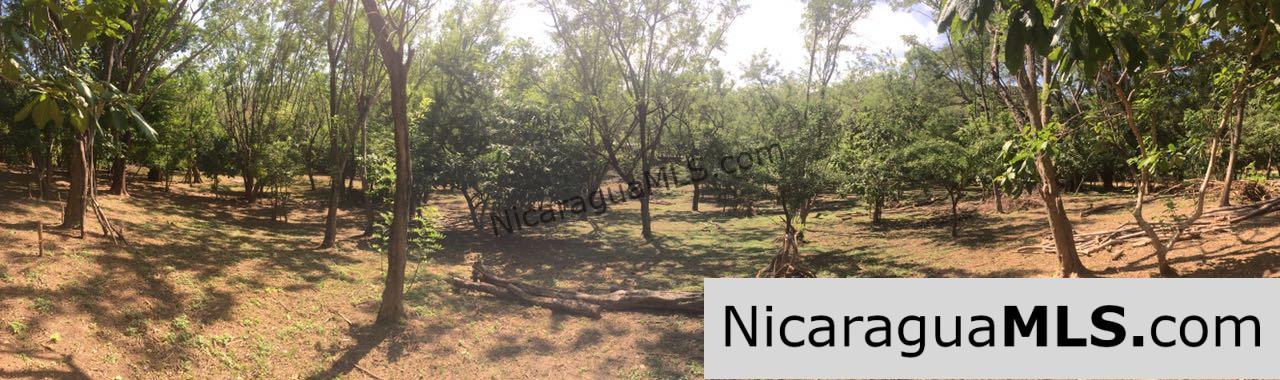 Commercial acreage within walking distance to Playa Marsella and Maderas
