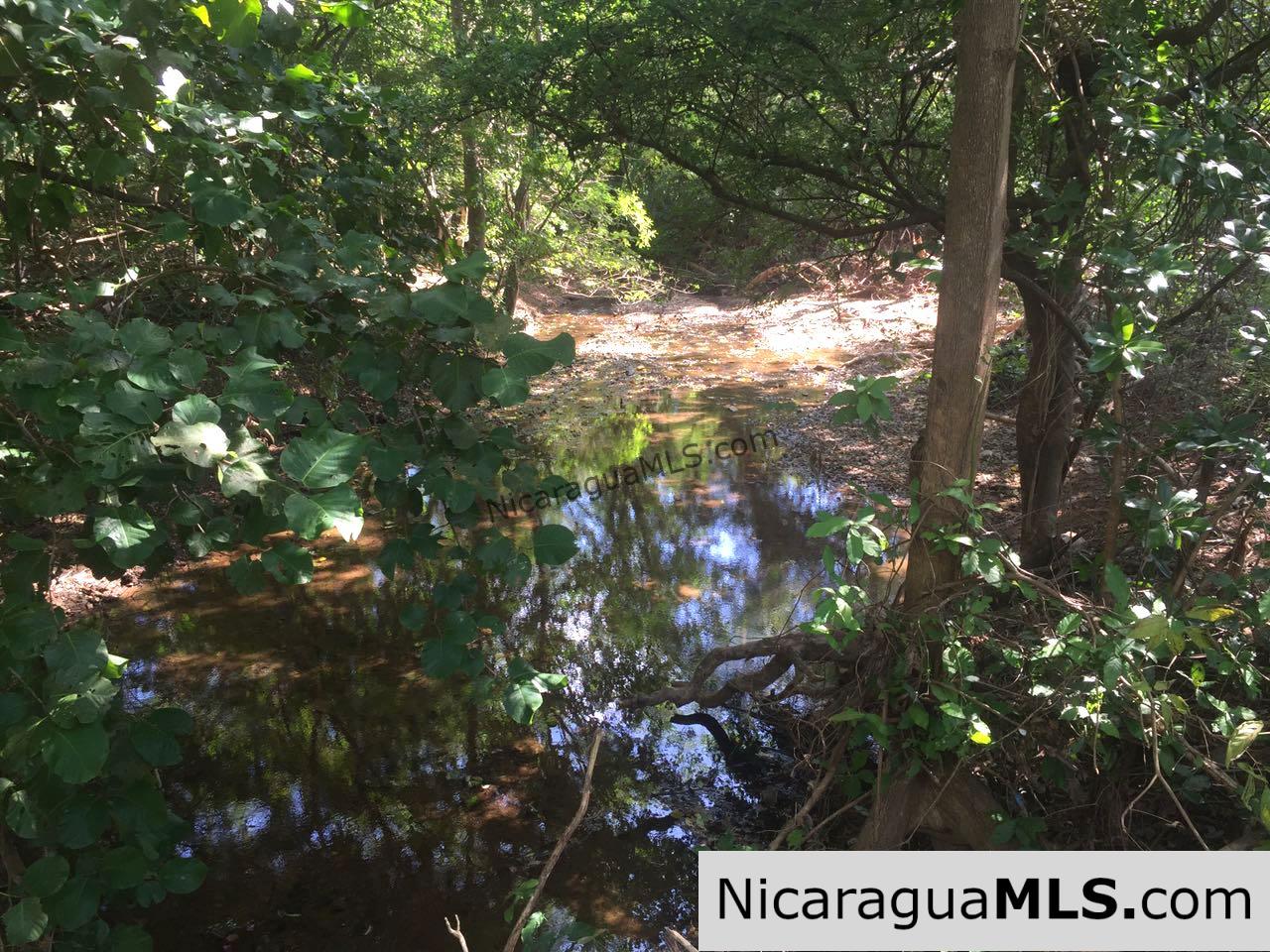 Commercial acreage within walking distance to Playa Marsella and Maderas