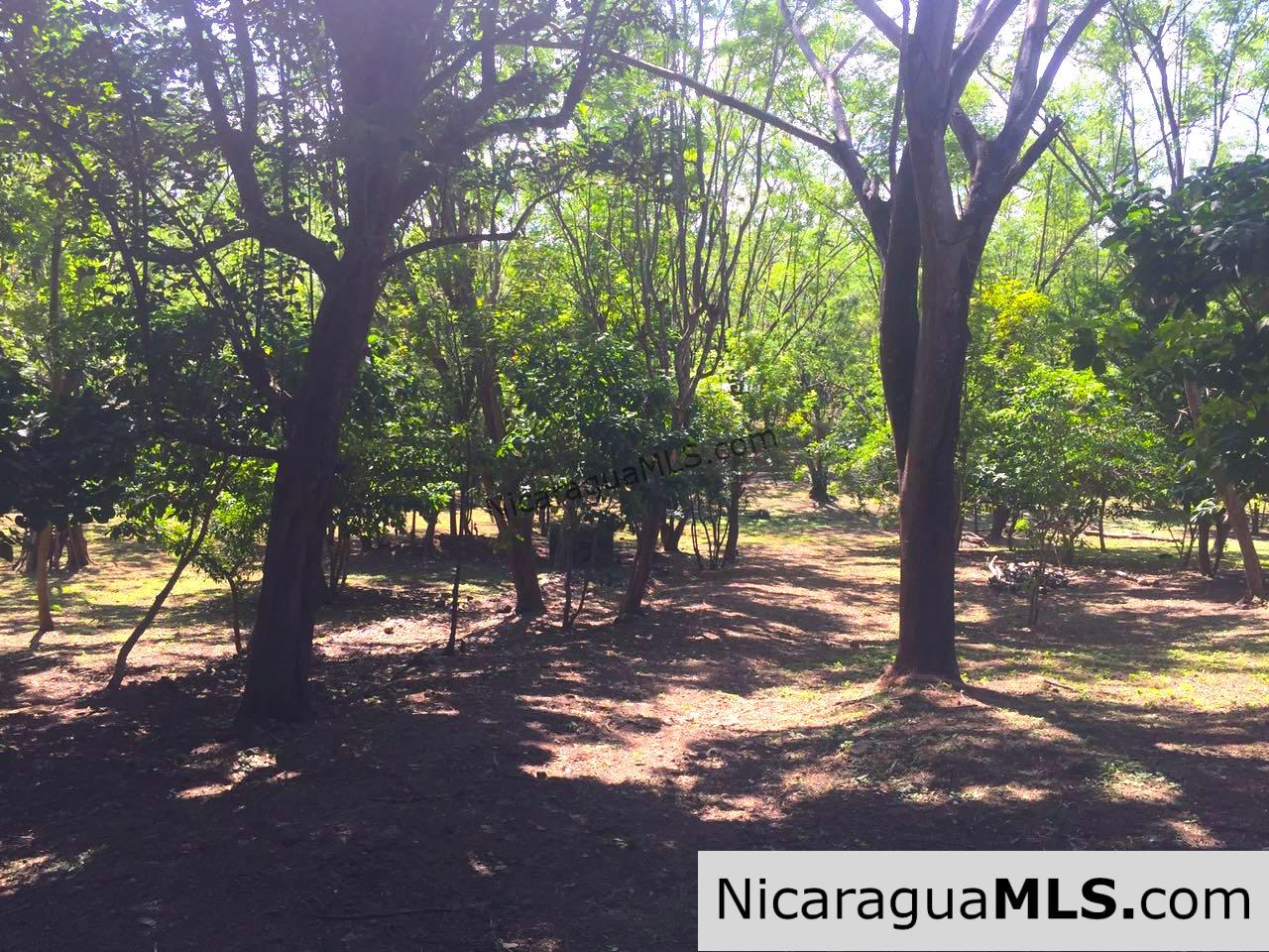 Commercial acreage within walking distance to Playa Marsella and Maderas