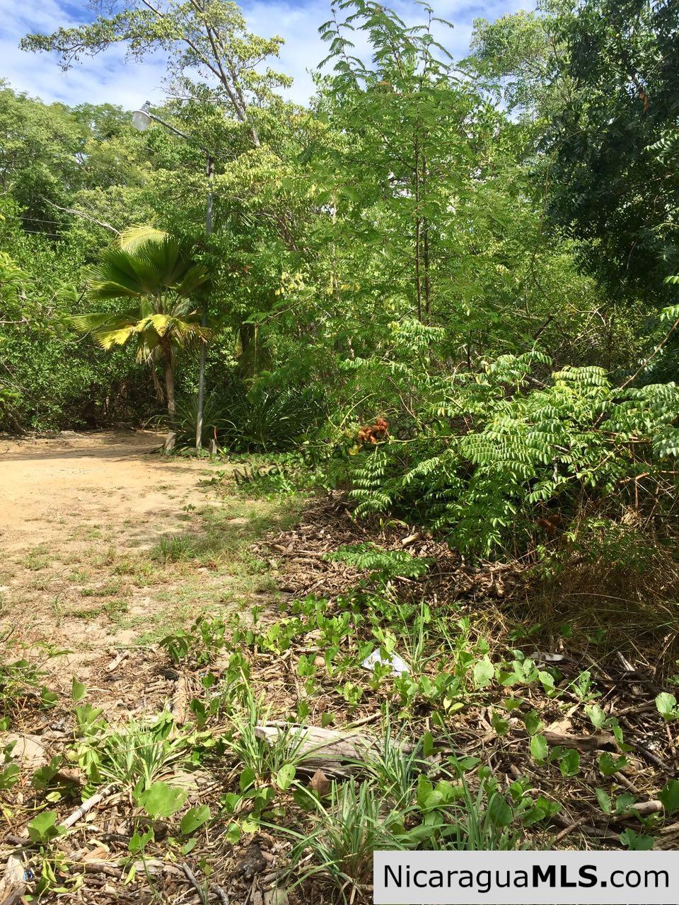 Beachfront lot Playa El Coco