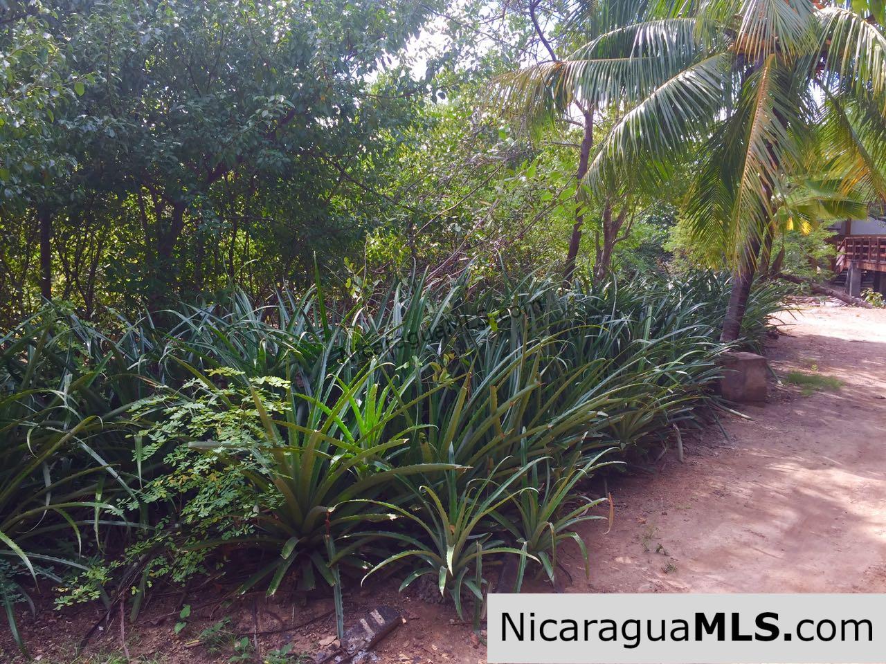 Beachfront lot Playa El Coco