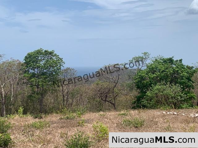 Amazing Ocean Views and Direct Access to Tree Casa Resort