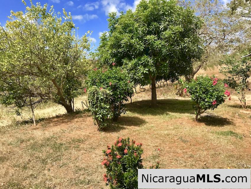 Ocean view fixer upper on almost 5 Acres