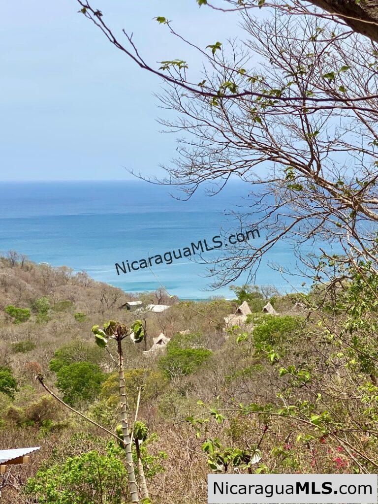 Ocean View Alerts: Price Update on Playa Maderas Lot!