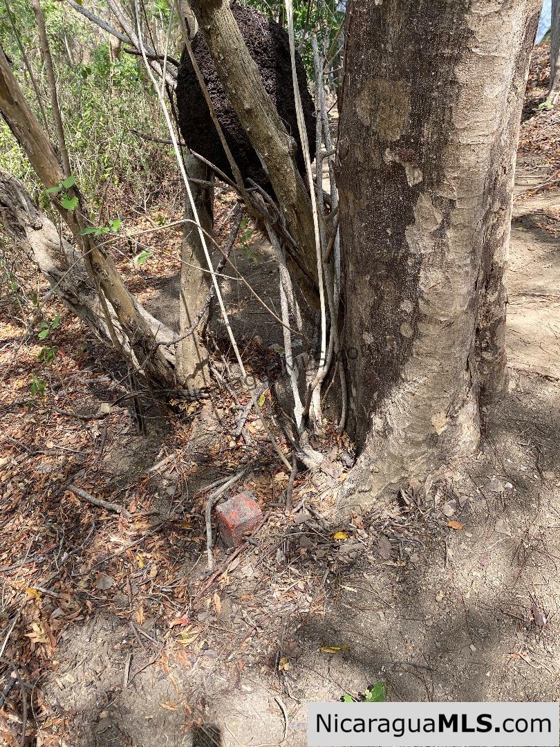 SOLD - Small ocean view lot at Playa Maderas