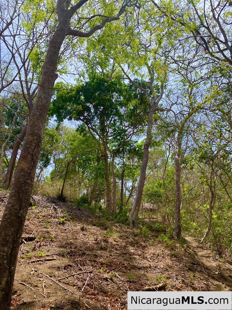 SOLD - Small ocean view lot at Playa Maderas