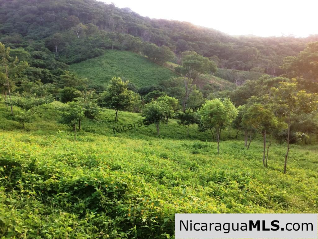 Off Grid Tranquil Paradise Only 20 Minutes North of San Juan del Sur