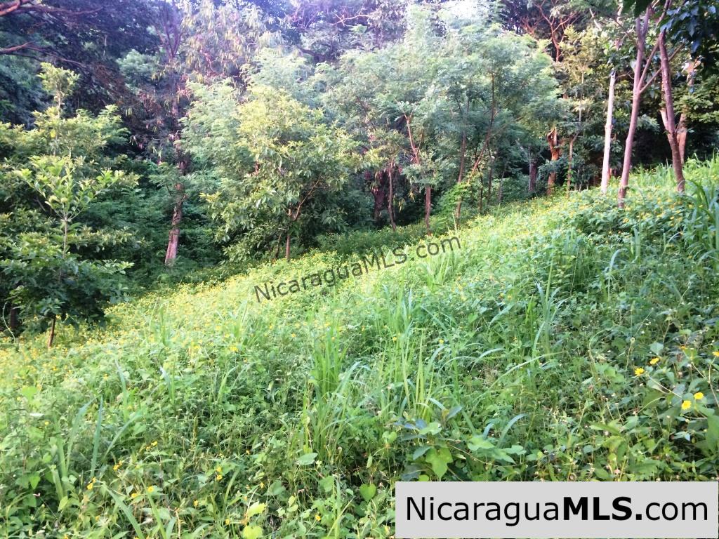 Off Grid Tranquil Paradise Only 20 Minutes North of San Juan del Sur