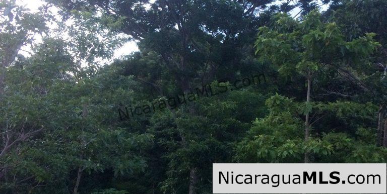Off Grid Tranquil Paradise Only 20 Minutes North of San Juan del Sur