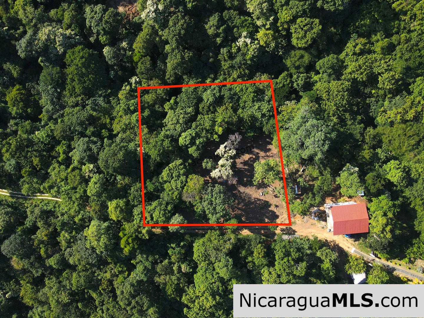 Beautiful lot within walking distance of Playa Maderas