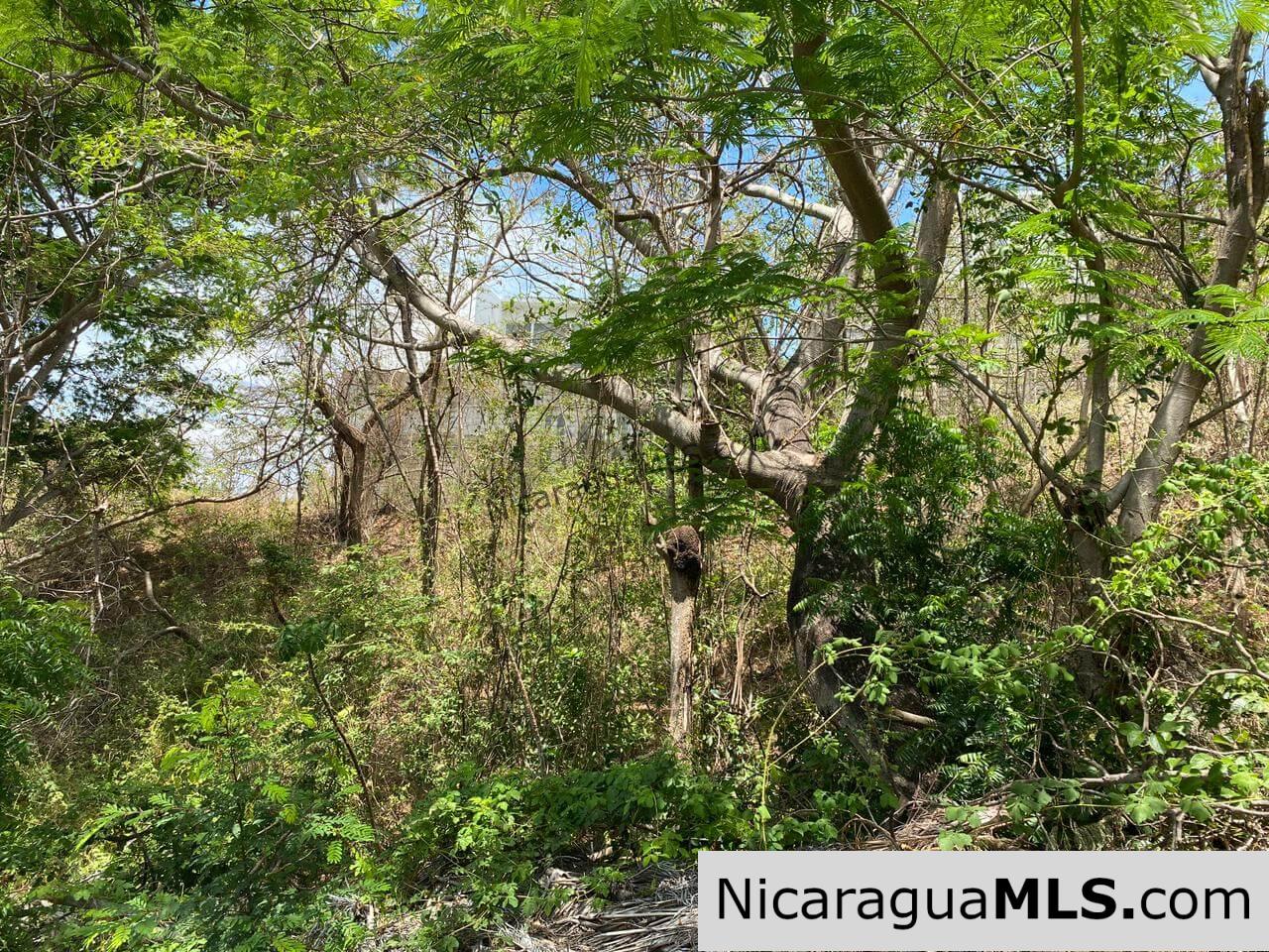 Lot 39 in Lomas de San Juan