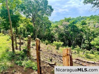 Lot Opportunity in Playa Maderas