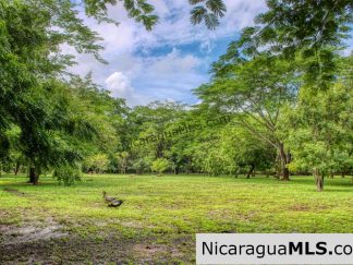 Beautiful Park Setting 4.5 Acres on Road to Maderas
