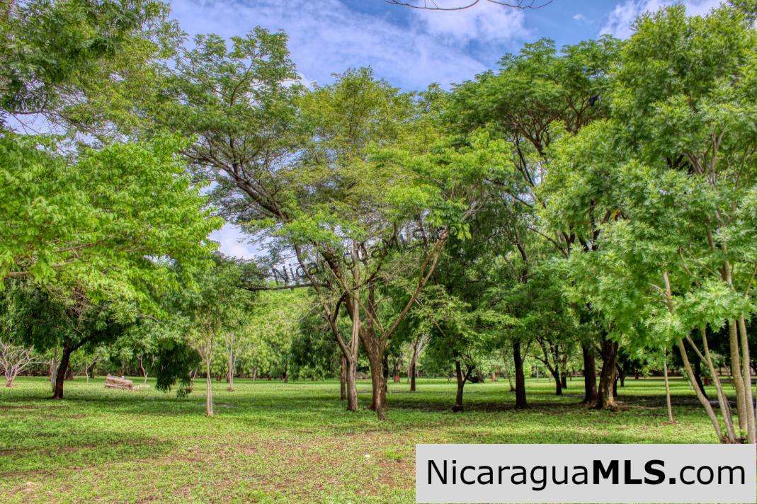 Beautiful Park Setting 4.5 Acres on Road to Maderas