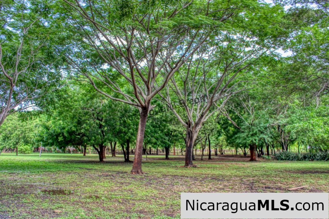 Beautiful Park Setting 4.5 Acres on Road to Maderas