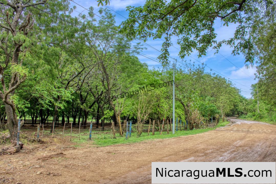 Beautiful Park Setting 4.5 Acres on Road to Maderas