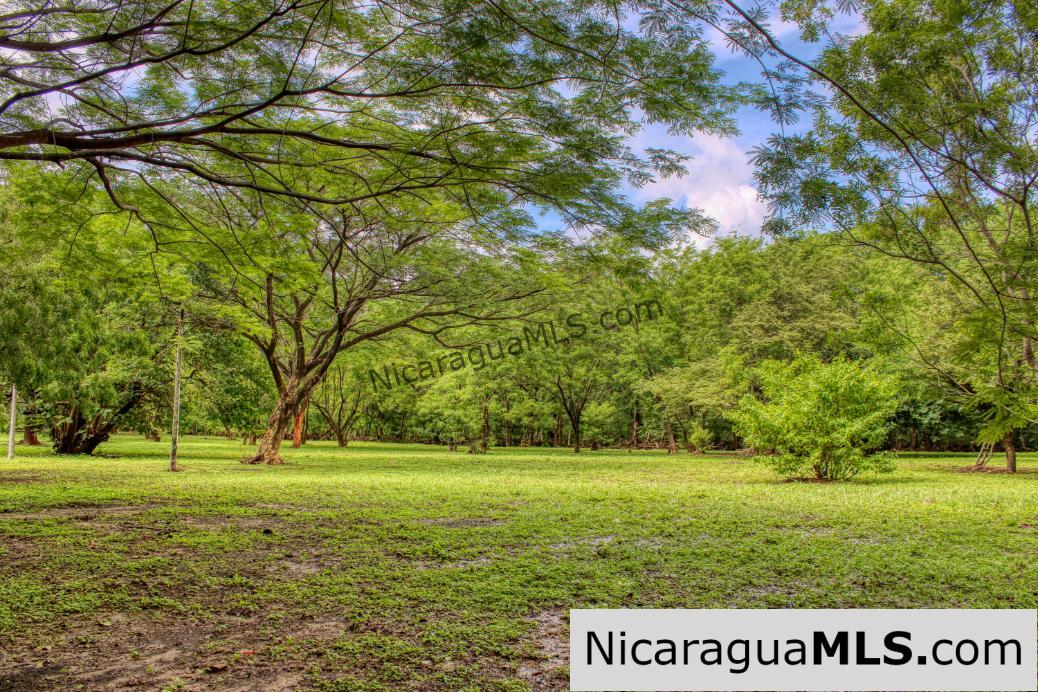 Beautiful Park Setting 4.5 Acres on Road to Maderas