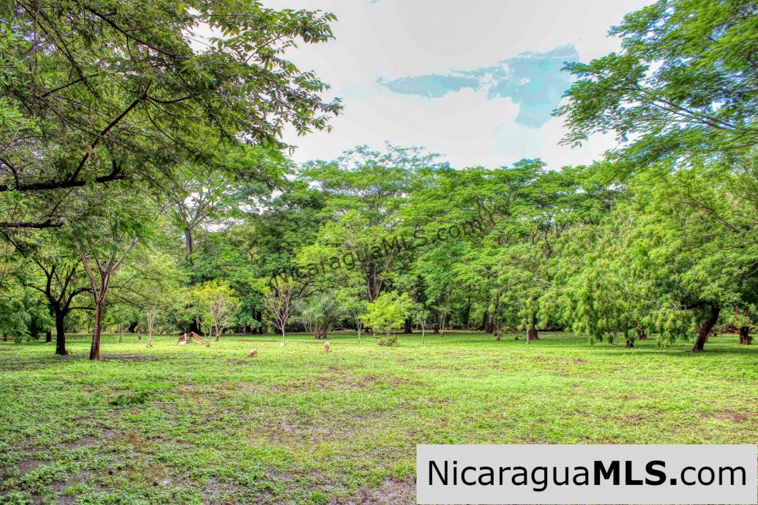 Beautiful Park Setting 4.5 Acres on Road to Maderas