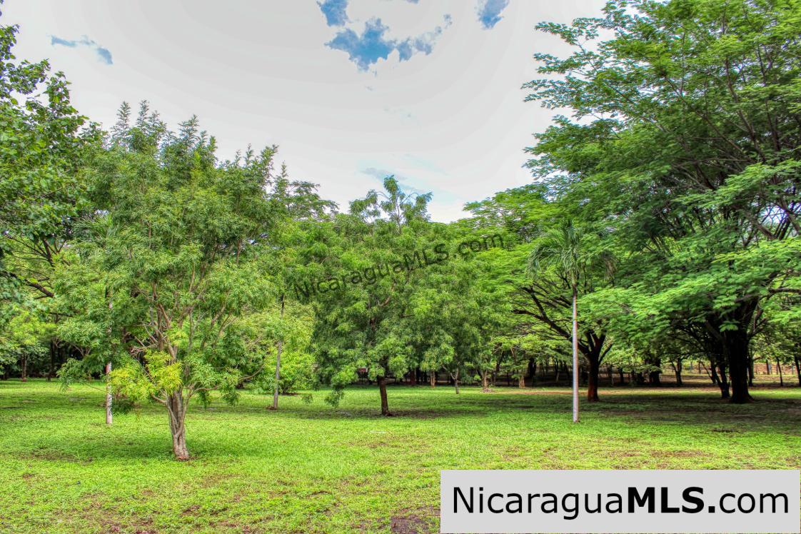 Beautiful Park Setting 4.5 Acres on Road to Maderas