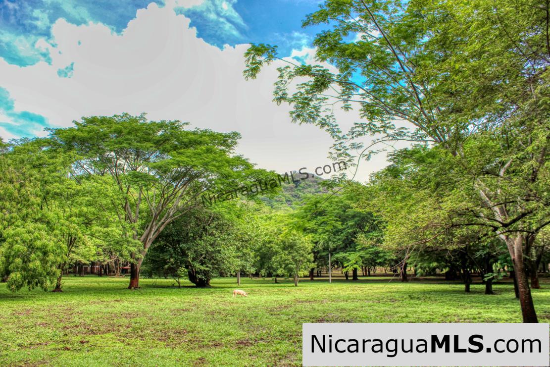 Beautiful Park Setting 4.5 Acres on Road to Maderas
