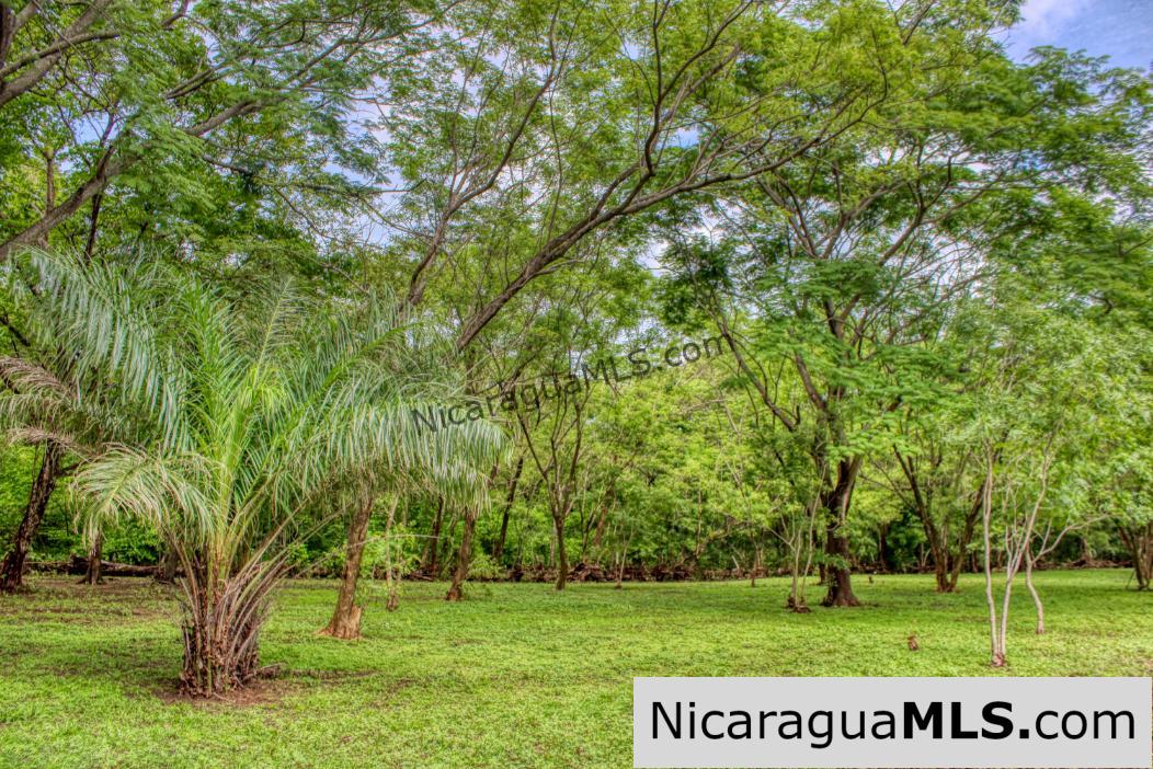 Beautiful Park Setting 4.5 Acres on Road to Maderas