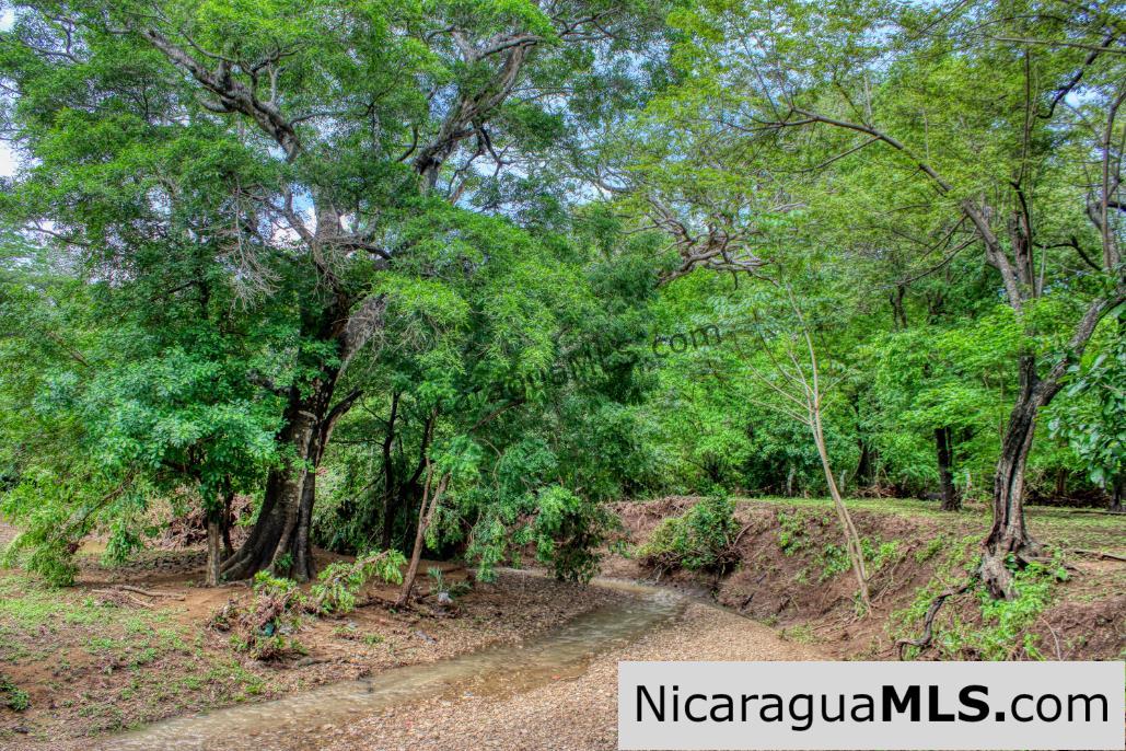 Beautiful Park Setting 4.5 Acres on Road to Maderas